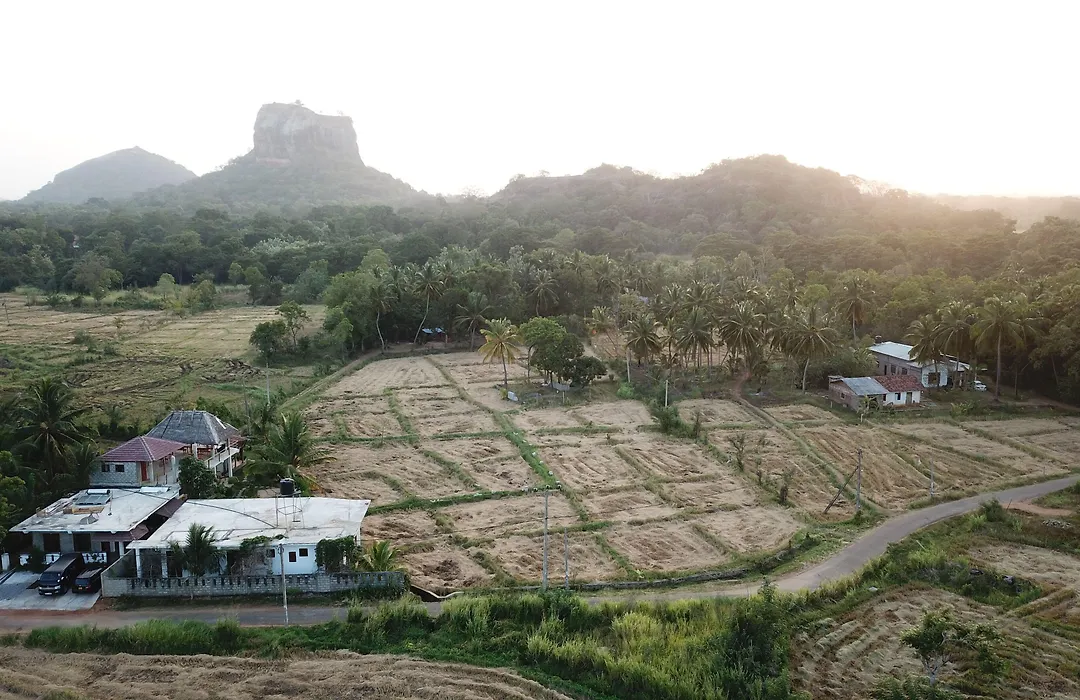 Nelu Villa Sigiriya-1